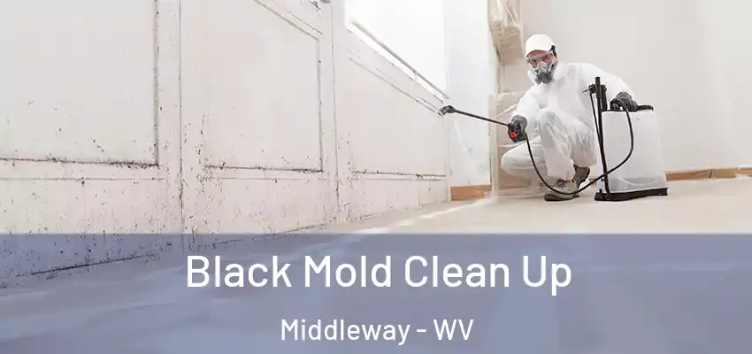 Black Mold Clean Up Middleway - WV