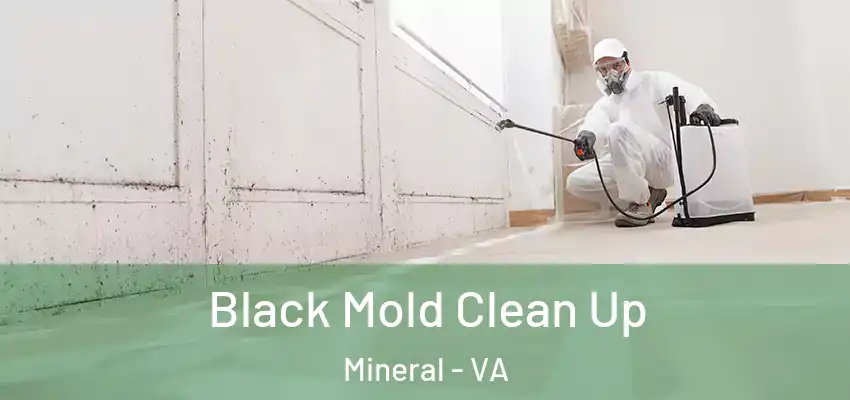  Black Mold Clean Up Mineral - VA