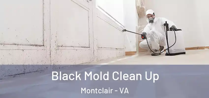 Black Mold Clean Up Montclair - VA