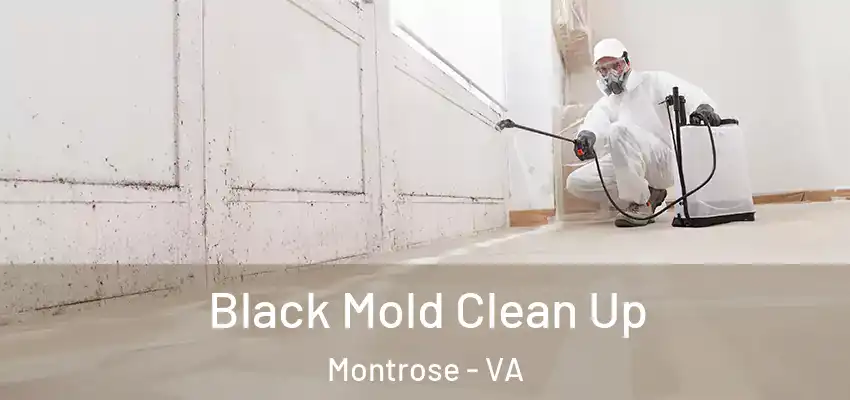 Black Mold Clean Up Montrose - VA