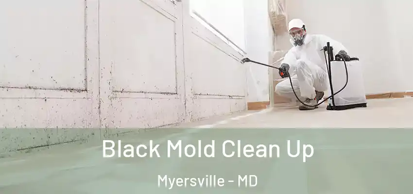  Black Mold Clean Up Myersville - MD