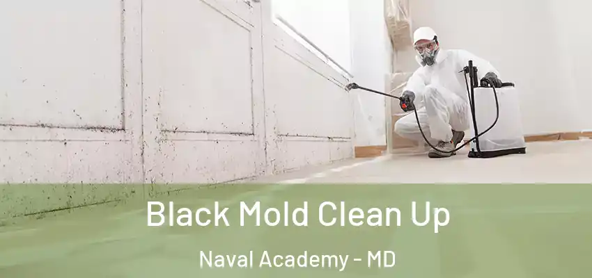 Black Mold Clean Up Naval Academy - MD