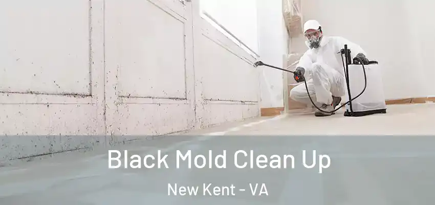 Black Mold Clean Up New Kent - VA