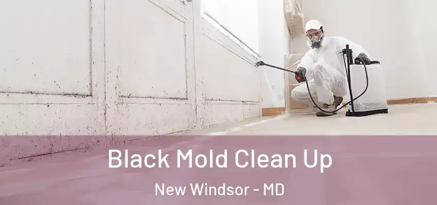  Black Mold Clean Up New Windsor - MD