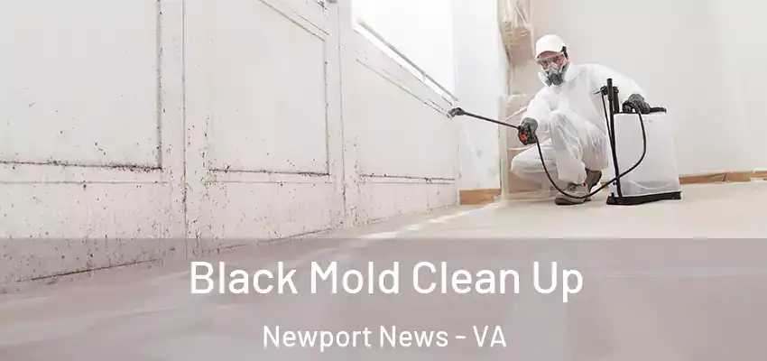 Black Mold Clean Up Newport News - VA