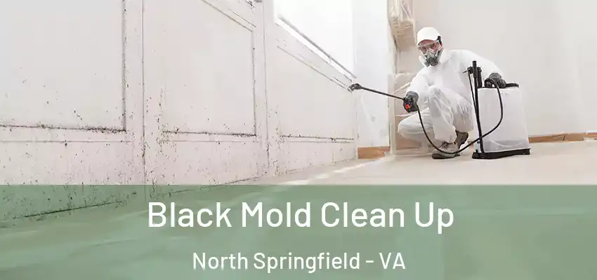  Black Mold Clean Up North Springfield - VA