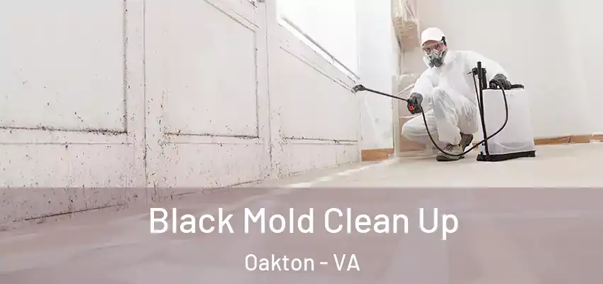  Black Mold Clean Up Oakton - VA