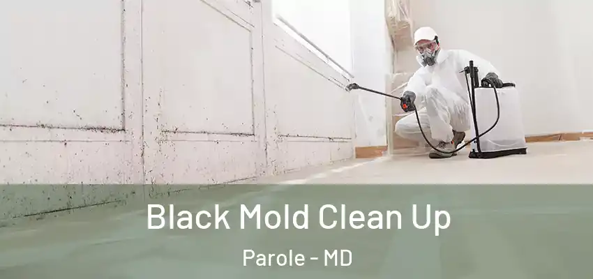  Black Mold Clean Up Parole - MD