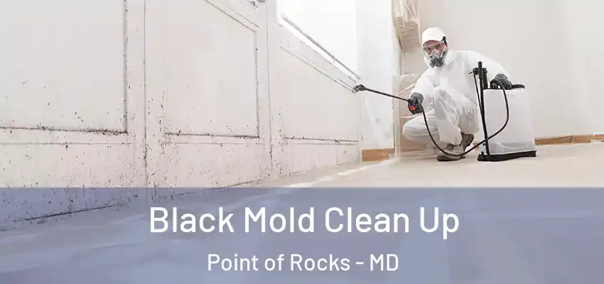  Black Mold Clean Up Point of Rocks - MD