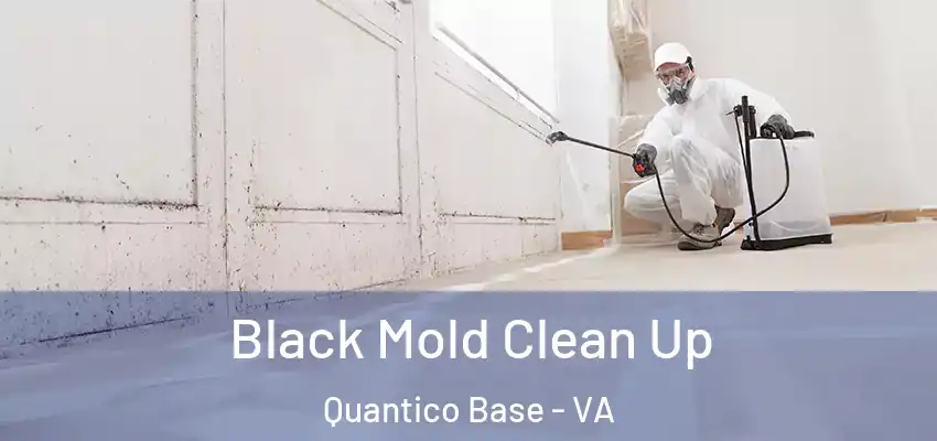 Black Mold Clean Up Quantico Base - VA