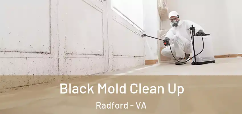  Black Mold Clean Up Radford - VA