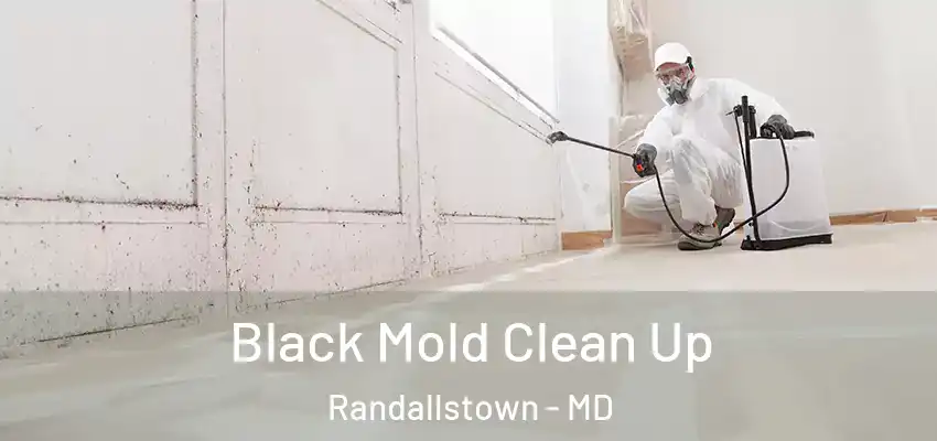 Black Mold Clean Up Randallstown - MD