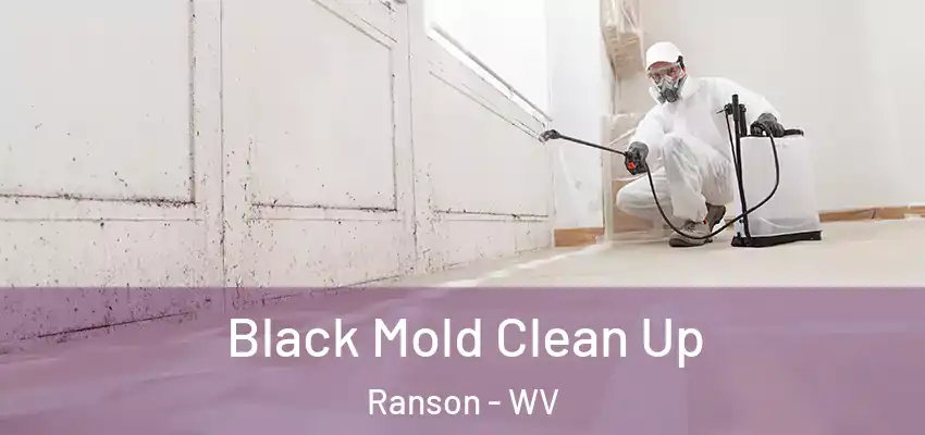 Black Mold Clean Up Ranson - WV