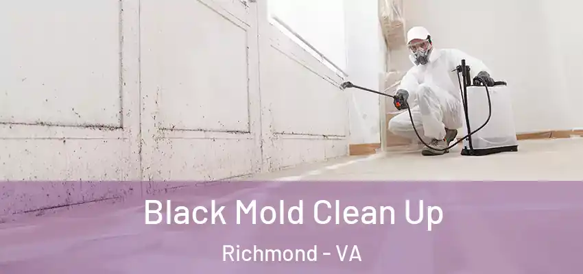  Black Mold Clean Up Richmond - VA