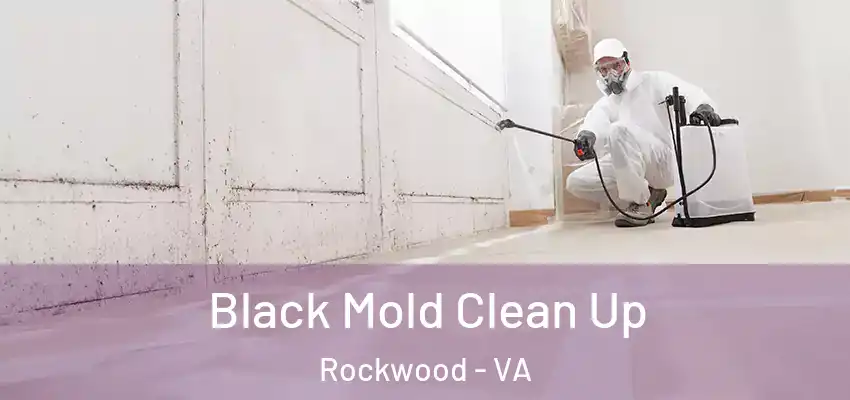 Black Mold Clean Up Rockwood - VA