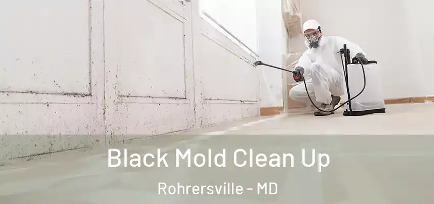  Black Mold Clean Up Rohrersville - MD