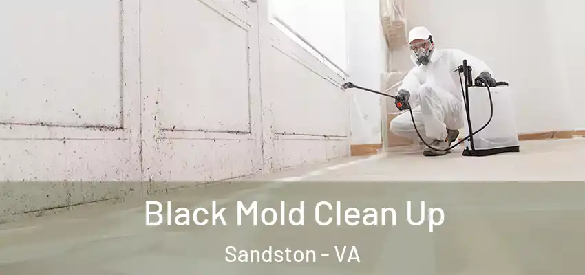 Black Mold Clean Up Sandston - VA