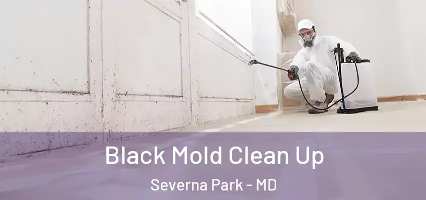 Black Mold Clean Up Severna Park - MD
