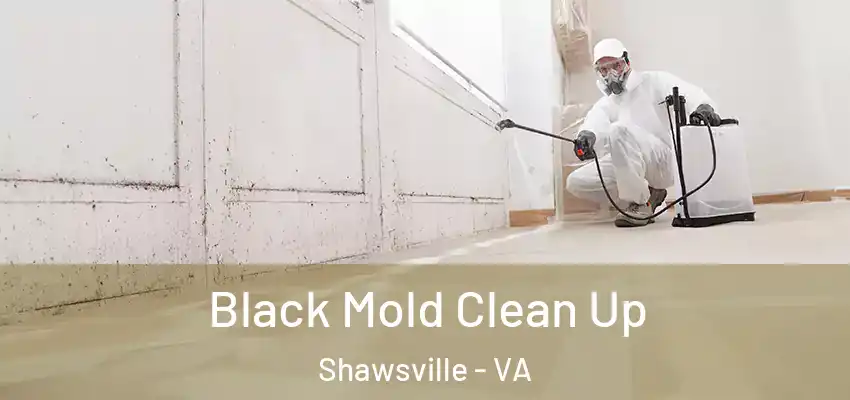 Black Mold Clean Up Shawsville - VA