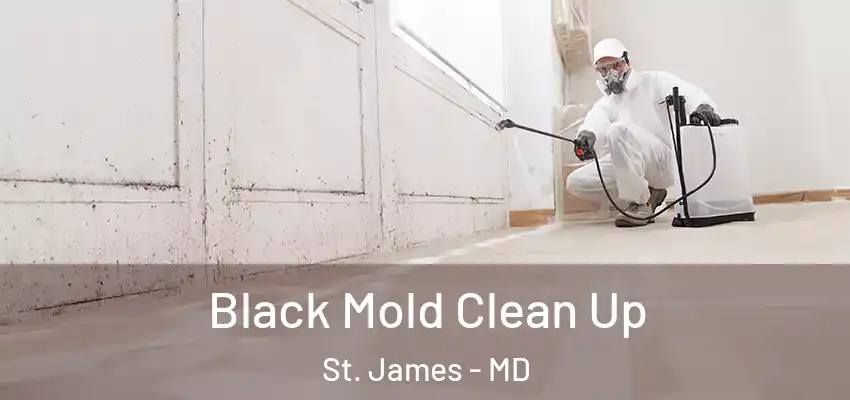 Black Mold Clean Up St. James - MD