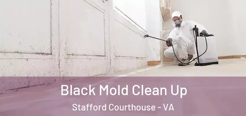  Black Mold Clean Up Stafford Courthouse - VA