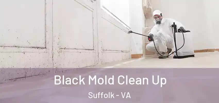  Black Mold Clean Up Suffolk - VA