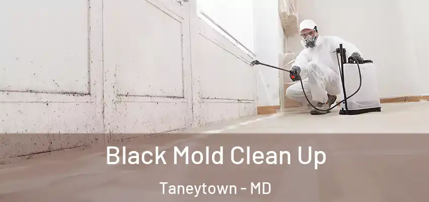  Black Mold Clean Up Taneytown - MD