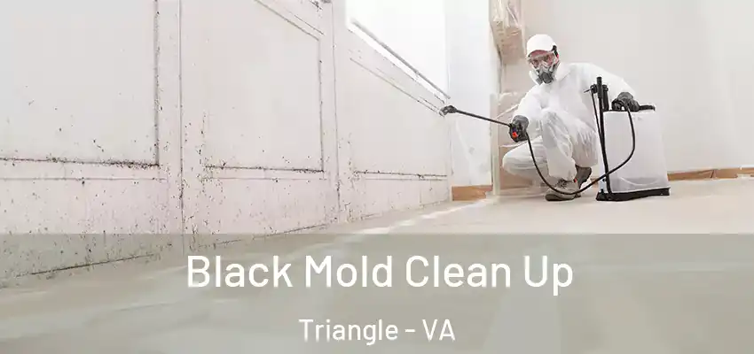 Black Mold Clean Up Triangle - VA