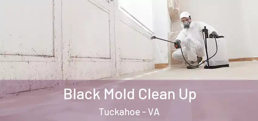  Black Mold Clean Up Tuckahoe - VA