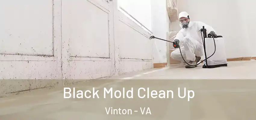 Black Mold Clean Up Vinton - VA