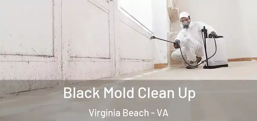 Black Mold Clean Up Virginia Beach - VA