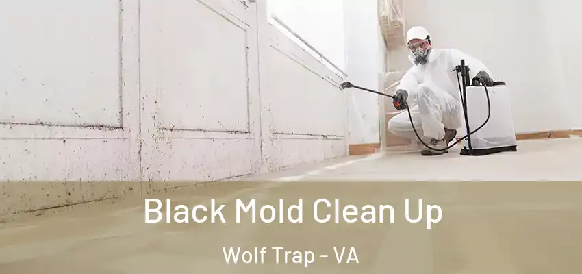Black Mold Clean Up Wolf Trap - VA