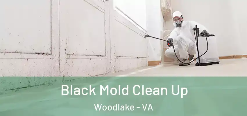  Black Mold Clean Up Woodlake - VA