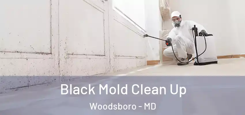 Black Mold Clean Up Woodsboro - MD