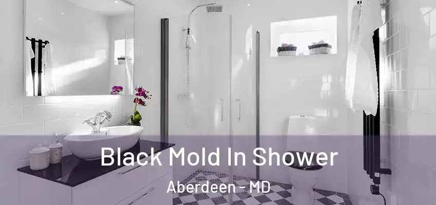 Black Mold In Shower Aberdeen - MD