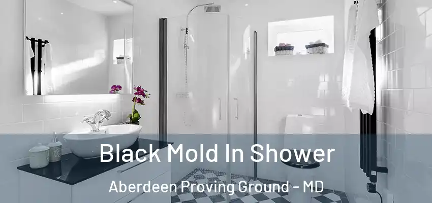 Black Mold In Shower Aberdeen Proving Ground - MD