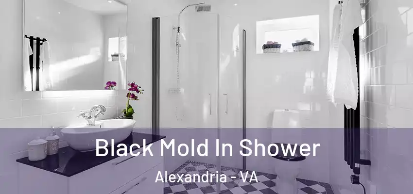 Black Mold In Shower Alexandria - VA