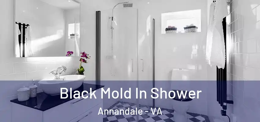  Black Mold In Shower Annandale - VA