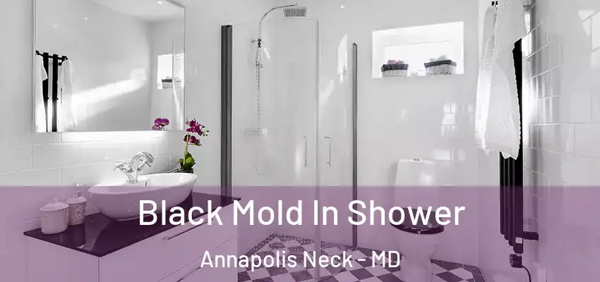  Black Mold In Shower Annapolis Neck - MD