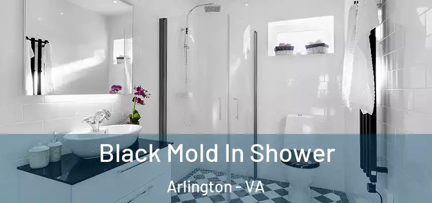  Black Mold In Shower Arlington - VA