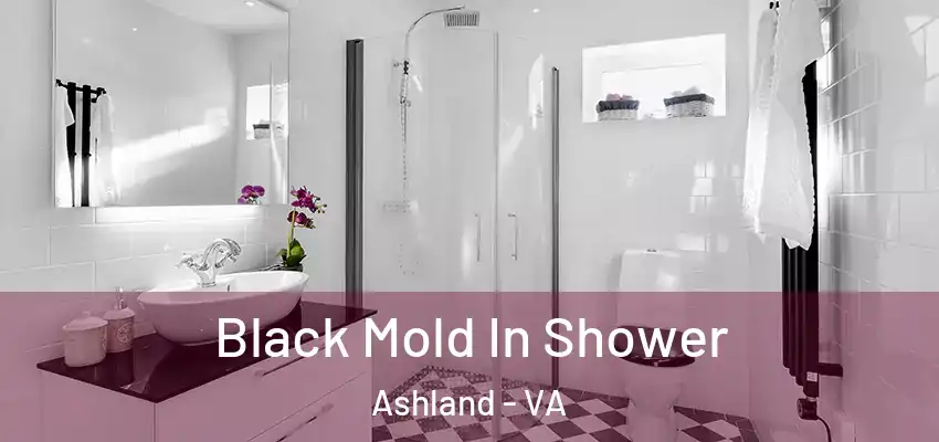  Black Mold In Shower Ashland - VA