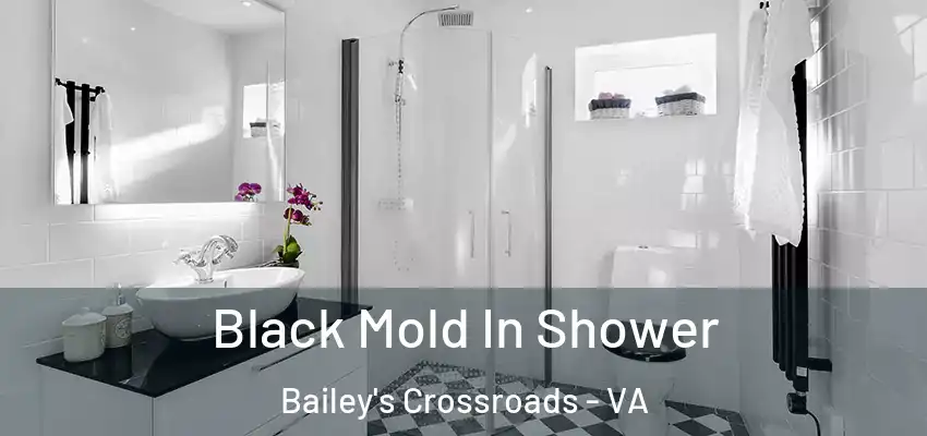  Black Mold In Shower Bailey's Crossroads - VA