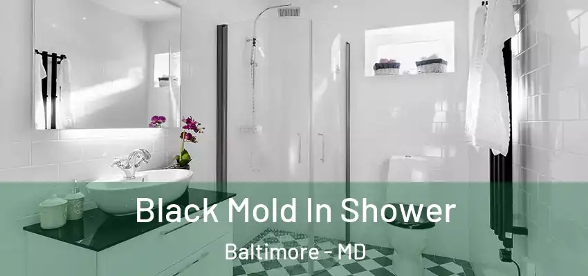 Black Mold In Shower Baltimore - MD