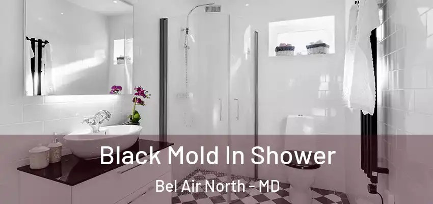 Black Mold In Shower Bel Air North - MD