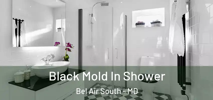 Black Mold In Shower Bel Air South - MD