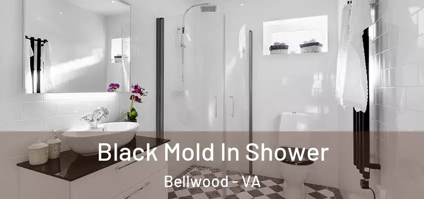 Black Mold In Shower Bellwood - VA