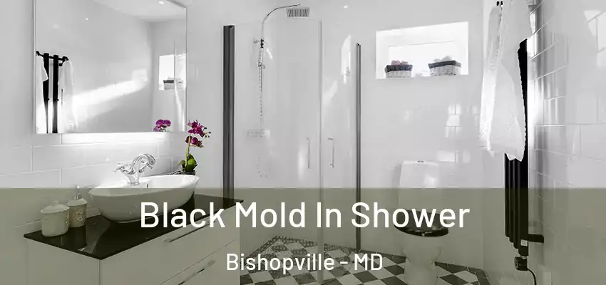 Black Mold In Shower Bishopville - MD