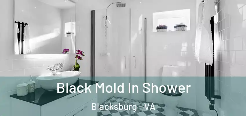 Black Mold In Shower Blacksburg - VA