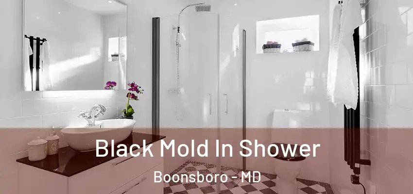  Black Mold In Shower Boonsboro - MD