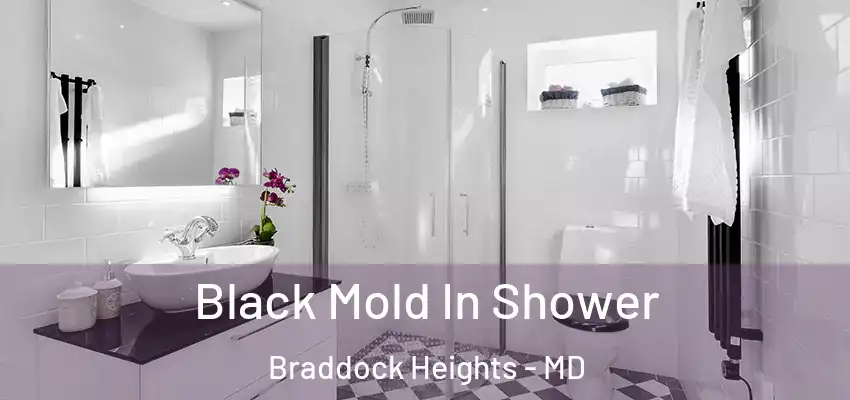 Black Mold In Shower Braddock Heights - MD